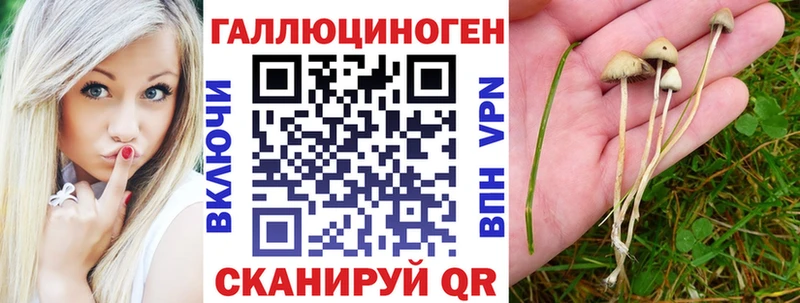 omg сайт Курильск Галлюциногенные грибы Magic Shrooms